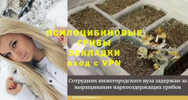 СК Аркадак
